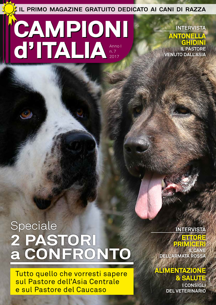 Cani Campioni: due pastori a confronti